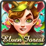 Elven ForestPlayace