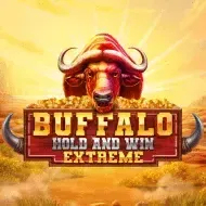 Buffalo Hold and Win Extreme screenshot