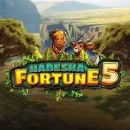 Habesha Fortune 5Smartsoft